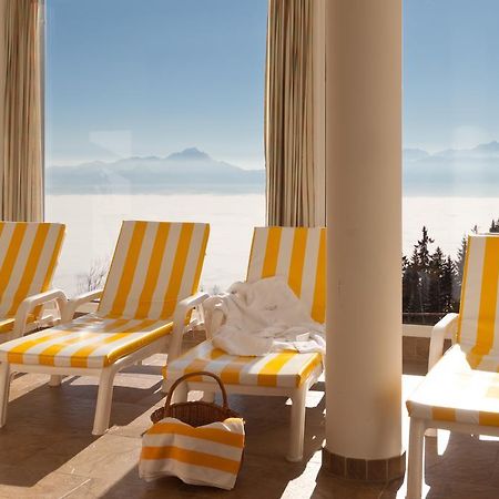 Sonnenhotel Zaubek 트레펜 외부 사진