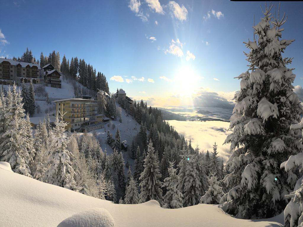Sonnenhotel Zaubek 트레펜 외부 사진